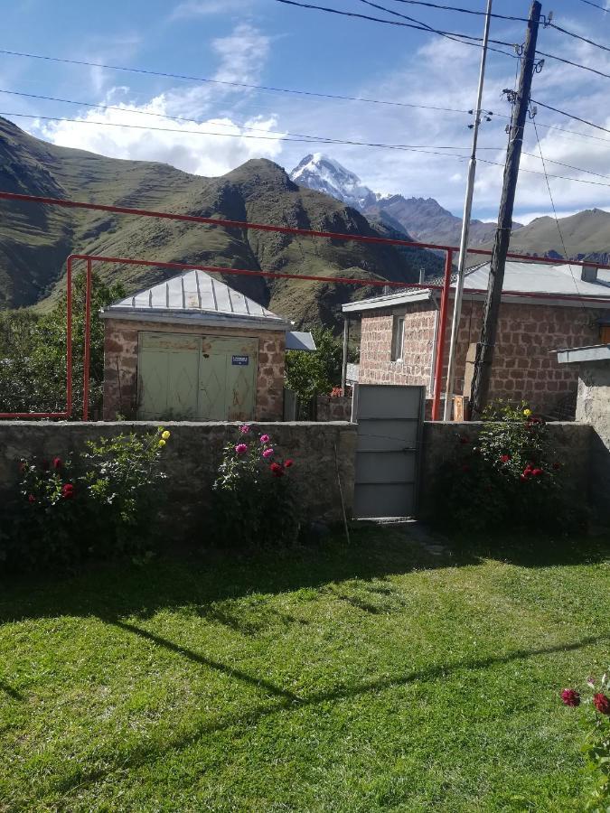 Guest House Lela Rezo Kazbegi Ngoại thất bức ảnh