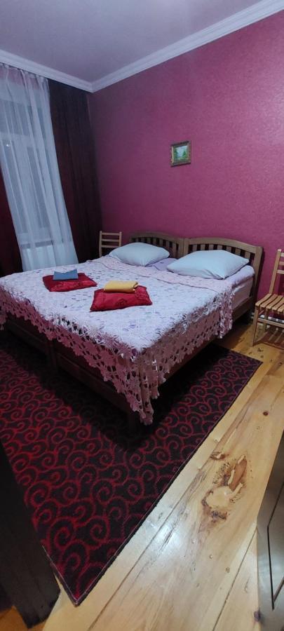 Guest House Lela Rezo Kazbegi Ngoại thất bức ảnh